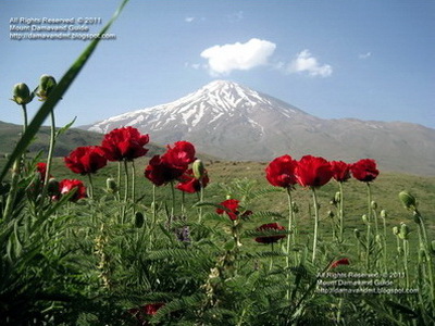 Mt. Damavand Iran